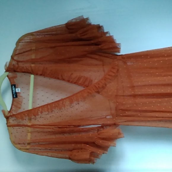 Wax Poetic Isabell Dot Mesh Dress SOLD OUT - Picture 3 of 10